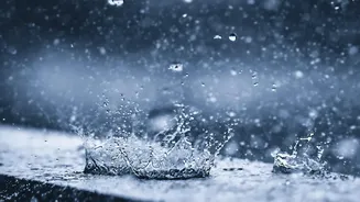 El Niño and Indian Rainfall: What the Latest Development Does and Does Not Mean