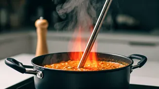 Viral Curry Cooked with Immersion Rod Amidst India's LPG Crisis Sparks Online Debate