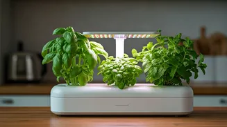 Grow Fresh Countertop Herbs Using Smart Indoor Hydroponic Kits