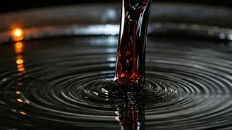 HPCL Assessing Venezuelan Crude: Challenges & Implications