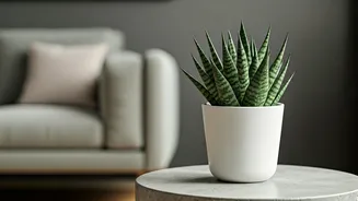 Low-Maintenance Greens Are Perfect For Modern Homes