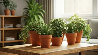 Wood And Plants Make Rooms Feel Calmer