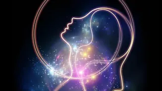 Why New Memory Research And Memory Retrieval And Later Recall Are Both In Focus