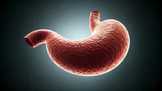 Don't Ignore Stomach Upset: Surgeon's Warning on Silent Cancers