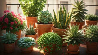 Hot Balconies Need These Fuss-Free Green Heroes