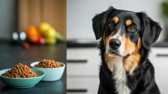 Why Tailored Vet-Approved Dog Diets Are Exploding In Metros