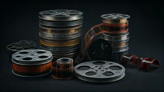 Bollywood's Box Office Dynamics: Success, Setbacks & Surprises