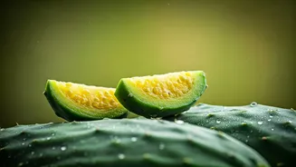 Edible Cactus: A Natural Ally for Blood Sugar and Cholesterol Control, Experts Suggest