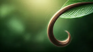 Monsoon Hair Fall Alert: Daily Shedding Crosses Two Hundred