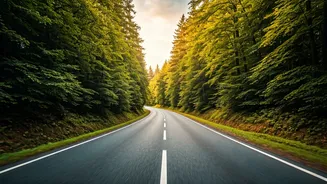 Travel At Your Own Pace This Year