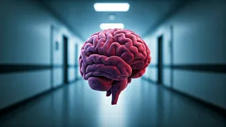 India's Stroke Crisis: Alarming Rise in Young Adults and the Peril of Delayed Hospitalization