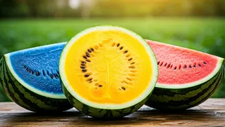 Haryana Farmer Cultivates 'Rainbow Watermelons': A Splash of Blue, Gold, and Orange!