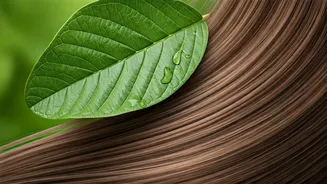 Unlock Luscious Locks: The Amazing Haircare Benefits of Guava Leaves