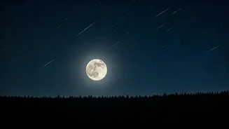 Full moon to dim Delta Aquariid shower