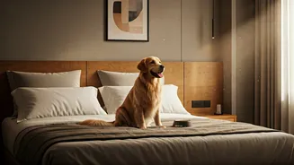 Pet-Friendly Travel Is Becoming A Serious Booking Filter