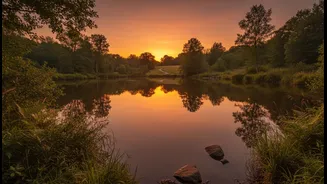 Why Swapping Busy Viewpoints For Isolated Lake Shorelines Enhances Weekend Mental Rejuvenation Goals