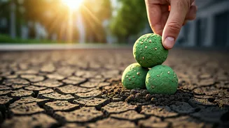 Indian Youth Unite Launching Urban Seed Bombing Drives Safely
