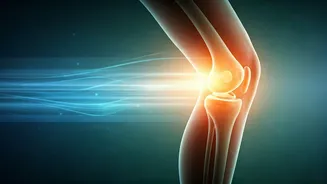 Beat Knee Osteoarthritis Pain: Why Aerobic Exercise Reigns Supreme, New Study Reveals