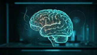 AI-Powered NEET UG Practice Tests: Google Gemini Revolutionizes Medical Aspirant Prep