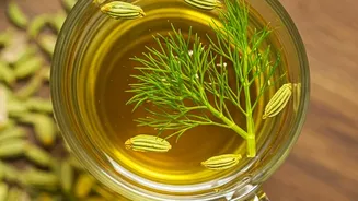 Fennel Gives Desserts A Spice Note Without Turning Them Hot