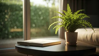 The Single Woman's Paradox: Navigating Blissful Independence and the Whisper of Loneliness