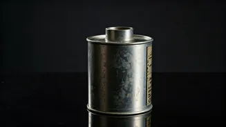 Priyanka Chopra's Delight: 'Gandhi Talks' Teaser