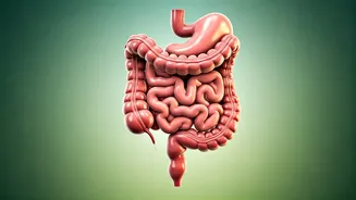 Happy Gut, Happier You Every Day