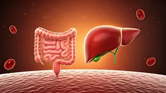 Harvard Doc's Daily Diet: 6 Gut-Saving Foods for Colon Health & Fatty Liver Prevention
