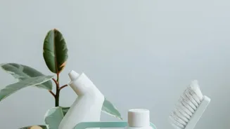 Mould Problems Can Start Small, So Early Home Maintenance Matters