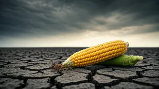 Food Price Fears Are Entering Monsoon Chats
