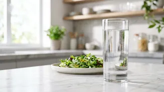 What Science Explains About Drinking Water Before Meals To Support Smart Digestion