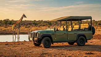 Wildlife Trips Are Getting Less Rugged, More Refined