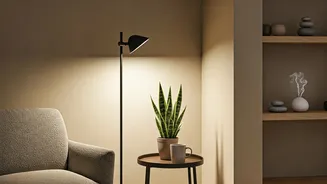 Home Wellness Is Getting A Practical Decor Push