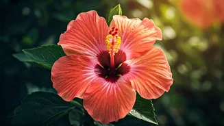 6 Okinawan Secrets to a Long, Happy Life