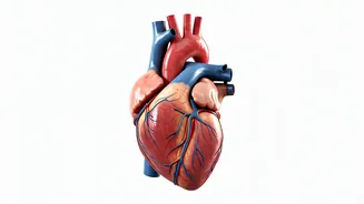 10 Life-Extending Tips: Insights from a NYC Cardiologist