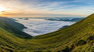 5 Indian Hill Stations for a Dreamy Summer: Walk Among the Clouds!