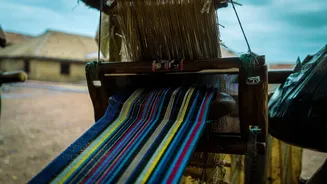 Handloom weaving: A traditional craft for a greener future