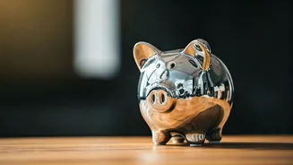 Building Financial Resilience: Short-Term Planning's Role