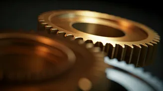 Mastering Disagreements: Polite Phrases to Preserve Relationships