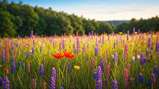 Bloom Trips Are The New Gentle Getaway Plan