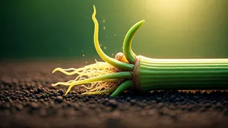 Related Stories banner