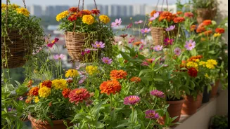 Balcony Gardens Need Nectar, Colour And Patience