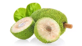 Breadfruit: 5 tasty recipes using this vegetable