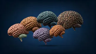 10 Brain Workouts to Sharpen Your Memory Daily