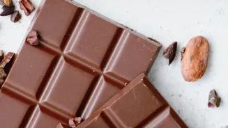 South Indian Bean-To-Bar Brands Capture Indian Dessert Market With Estate-Grown Single-Origin Cocoa
