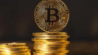 How Young Investors Build Digital Gold Reserves Without Making Charges Easily
