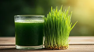 Barley Grass Juice: Unleash a Nutrient Powerhouse for Vibrant Health