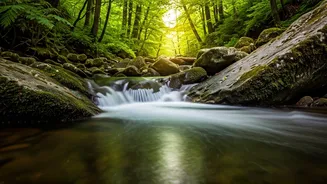 6 Refreshing Water Affirmations For Your Energy Flow