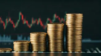 Navigating Market Fluctuations: An Investment Guide