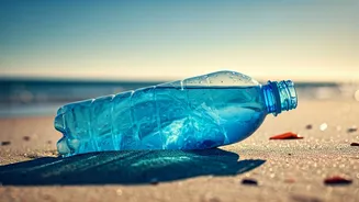 Plastic's Paradox: From Wonder to Waste